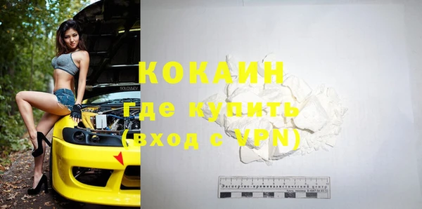 дживик Касимов