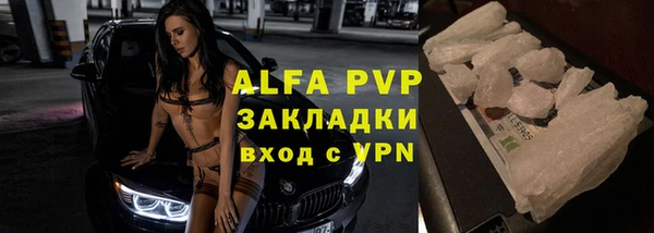 дживик Касимов