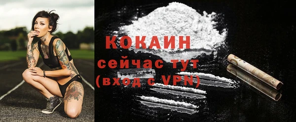 дживик Касимов